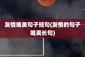 友情唯美句子短句(友情的句子唯美长句)