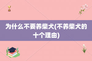 为什么不要养柴犬(不养柴犬的十个理由)