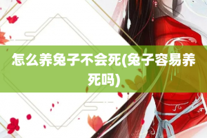 怎么养兔子不会死(兔子容易养死吗)