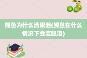 鳄鱼为什么流眼泪(鳄鱼在什么情况下会流眼泪)