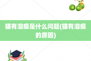 猫有泪痕是什么问题(猫有泪痕的原因)