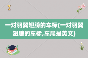 一对羽翼翅膀的车标(一对羽翼翅膀的车标,车尾是英文)