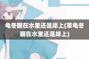 龟冬眠在水里还是岸上(草龟冬眠在水里还是岸上)