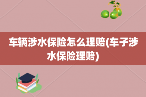 车辆涉水保险怎么理赔(车子涉水保险理赔)