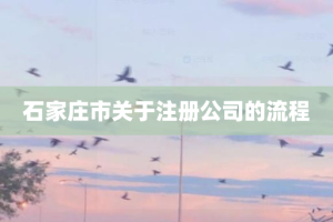 石家庄市关于注册公司的流程