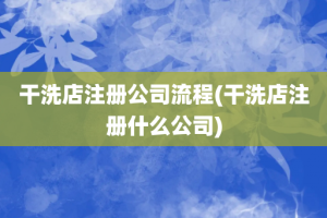 干洗店注册公司流程(干洗店注册什么公司)