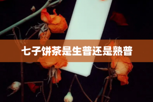 七子饼茶是生普还是熟普