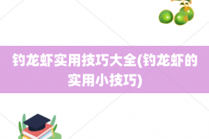 钓龙虾实用技巧大全(钓龙虾的实用小技巧)