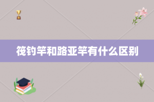 筏钓竿和路亚竿有什么区别