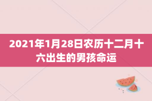 2021年1月28日农历十二月十六出生的男孩命运