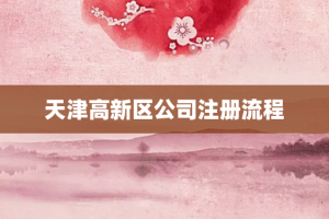天津高新区公司注册流程