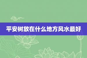 平安树放在什么地方风水最好