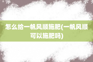 怎么给一帆风顺施肥(一帆风顺可以施肥吗)