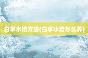 白掌水培方法(白掌水培怎么养)