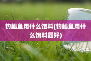 钓鲳鱼用什么饵料(钓鲳鱼用什么饵料最好)