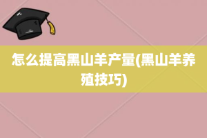 怎么提高黑山羊产量(黑山羊养殖技巧)