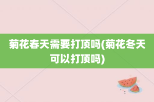 菊花春天需要打顶吗(菊花冬天可以打顶吗)