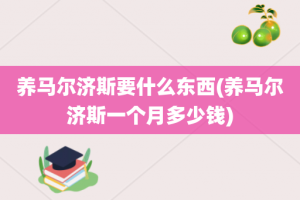 养马尔济斯要什么东西(养马尔济斯一个月多少钱)