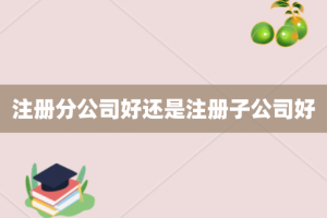 注册分公司好还是注册子公司好