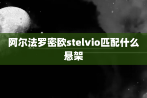 阿尔法罗密欧stelvio匹配什么悬架