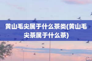 黄山毛尖属于什么茶类(黄山毛尖茶属于什么茶)