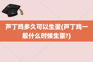 芦丁鸡多久可以生蛋(芦丁鸡一般什么时候生蛋?)
