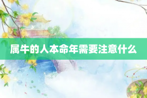 属牛的人本命年需要注意什么