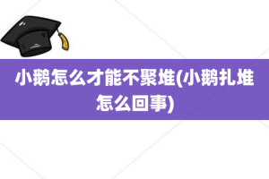 小鹅怎么才能不聚堆(小鹅扎堆怎么回事)