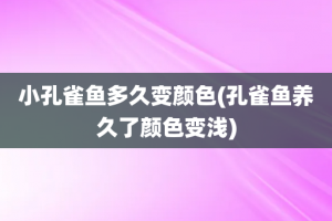 小孔雀鱼多久变颜色(孔雀鱼养久了颜色变浅)