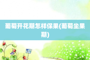 葡萄开花期怎样保果(葡萄坐果期)