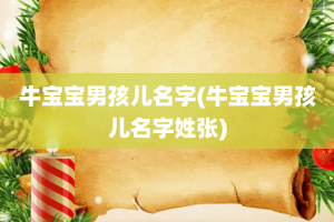 牛宝宝男孩儿名字(牛宝宝男孩儿名字姓张)