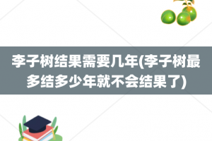 李子树结果需要几年(李子树最多结多少年就不会结果了)