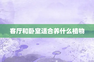 客厅和卧室适合养什么植物