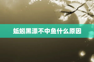 蚯蚓黑漂不中鱼什么原因
