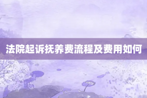 法院起诉抚养费流程及费用如何