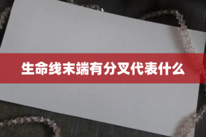 生命线末端有分叉代表什么