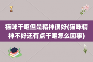 猫咪干呕但是精神很好(猫咪精神不好还有点干呕怎么回事)