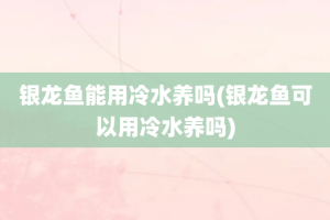 银龙鱼能用冷水养吗(银龙鱼可以用冷水养吗)