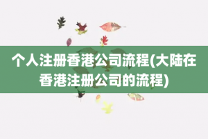 个人注册香港公司流程(大陆在香港注册公司的流程)