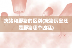 疣猪和野猪的区别(疣猪厉害还是野猪哪个凶猛)