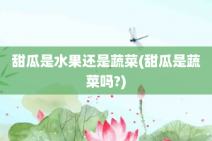 甜瓜是水果还是蔬菜(甜瓜是蔬菜吗?)