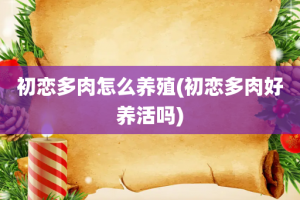 初恋多肉怎么养殖(初恋多肉好养活吗)