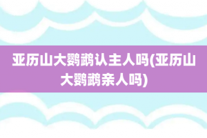 亚历山大鹦鹉认主人吗(亚历山大鹦鹉亲人吗)