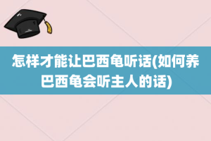 怎样才能让巴西龟听话(如何养巴西龟会听主人的话)