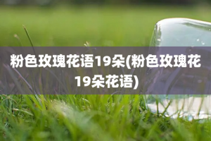 粉色玫瑰花语19朵(粉色玫瑰花19朵花语)