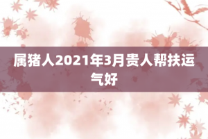 属猪人2021年3月贵人帮扶运气好