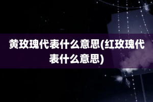 黄玫瑰代表什么意思(红玫瑰代表什么意思)