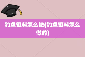 钓鱼饵料怎么做(钓鱼饵料怎么做的)