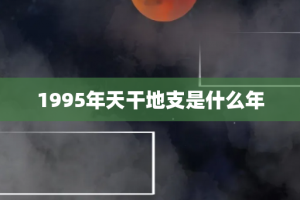 1995年天干地支是什么年