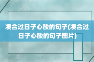 凑合过日子心酸的句子(凑合过日子心酸的句子图片)